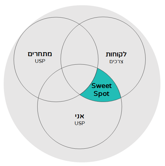 אסטרטגיית פרסום דיגיטלית