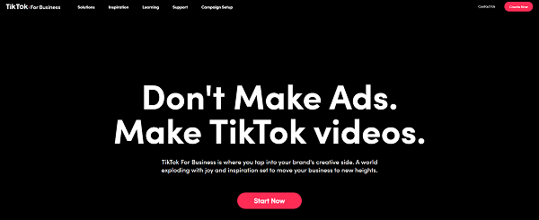 דף אתר TikTok For Business עם הכותרת Don't Make Ads